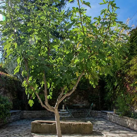 Old Wine Storehouse With Terrace And Garden Сasa de vacaciones *