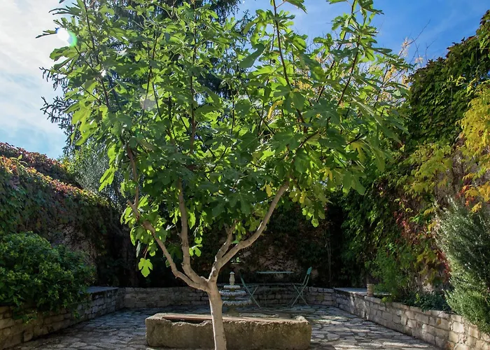 Old Wine Storehouse With Terrace And Garden Σπίτι διακοπών *